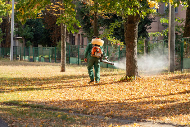 Best Pest Prevention Services  in Steelton, PA