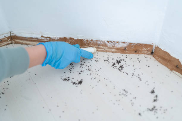 Wildlife Control Services in Steelton, PA