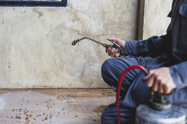 Best Affordable Pest Control Services  in Steelton, PA